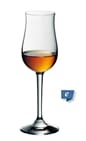 25010023_Rel GLASS - Cognac - Likør  e  - WMF Cognac -  Storkjøkken - Scheie & Co AS.jpg