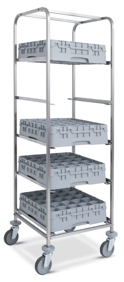 CCL-5P CCL-5P 2020 ny.jpg