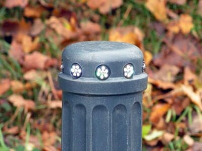 P - ROYAL 2 Buckingham 2_1.JPG