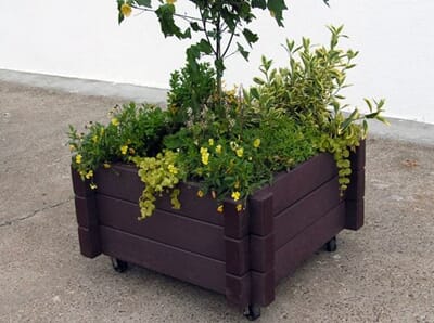 BK - DanMag1 Daniela-Maggie_1.JPG