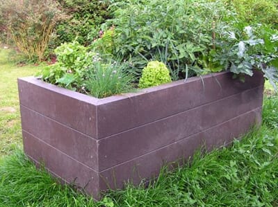 Terra 1 Terra1_1.JPG